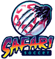 Detroit Safari logo (click here to learn more)